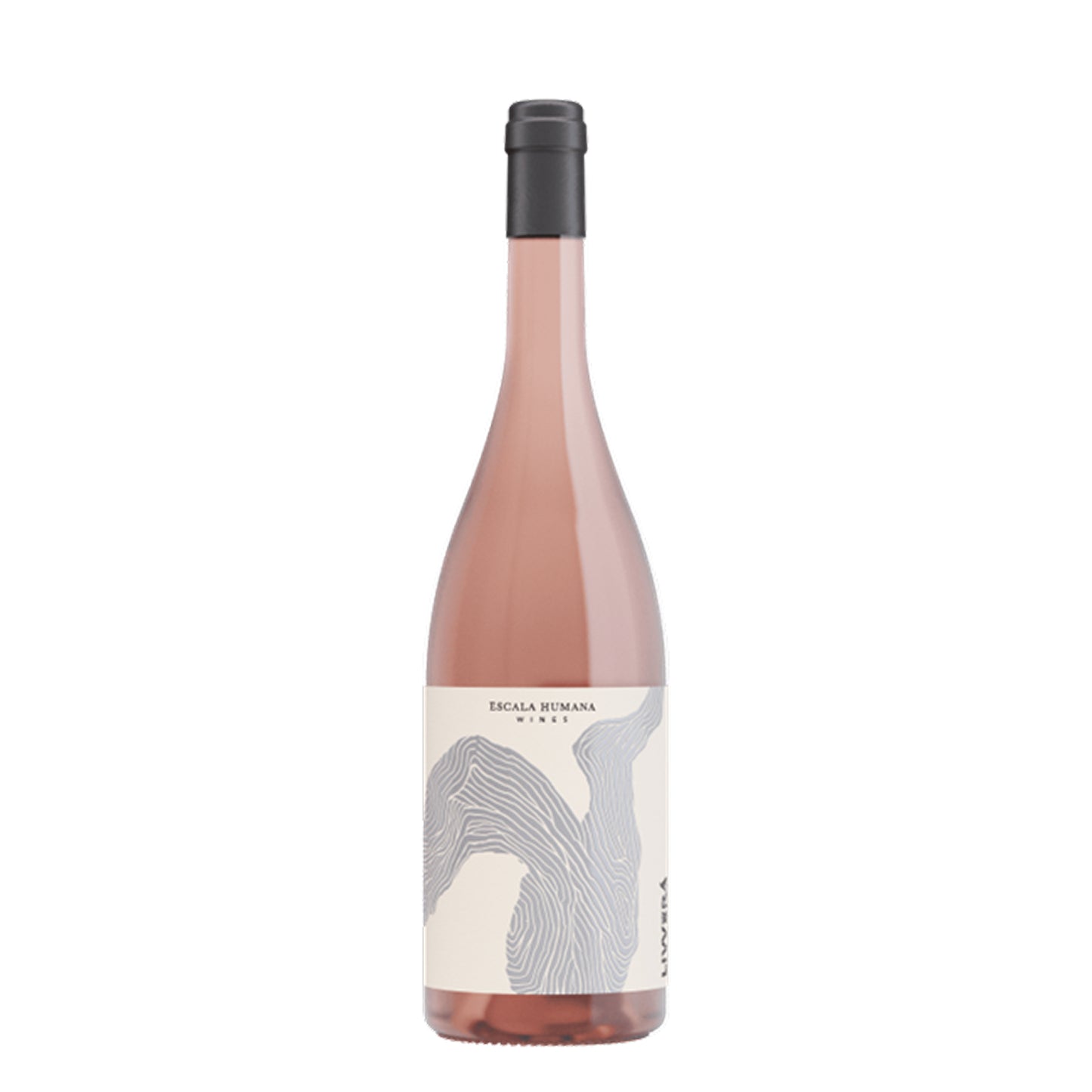 LIVVERÁ SANGIOVESE ROSÉ, 2024